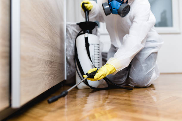 Best Pest Control Near Me  in Fruitport, MI