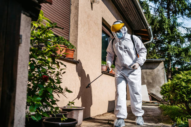 Best Emergency Pest Control  in Fruitport, MI