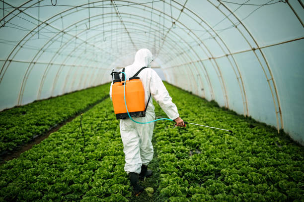 Best Affordable Pest Control Services  in Fruitport, MI