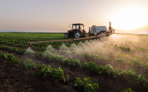 Professional Pest Control in Fruitport, MI