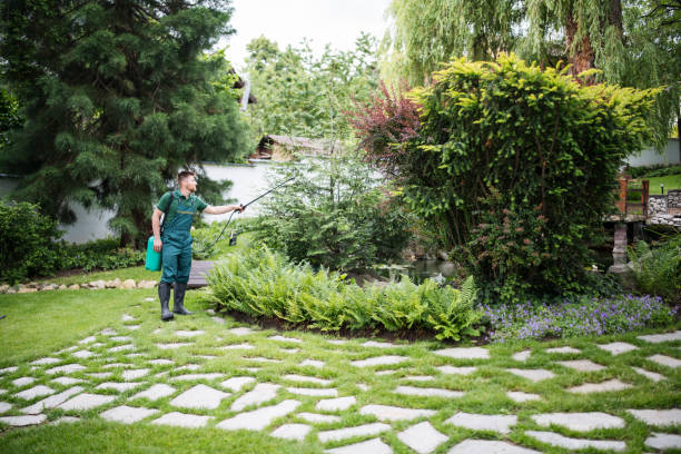 Best Mosquito Control Services  in Fruitport, MI
