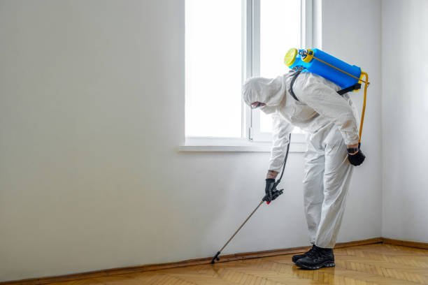 Best Wasp Removal Services  in Fruitport, MI