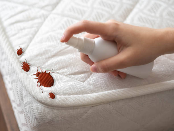 Best Commercial Pest Control Services  in Fruitport, MI