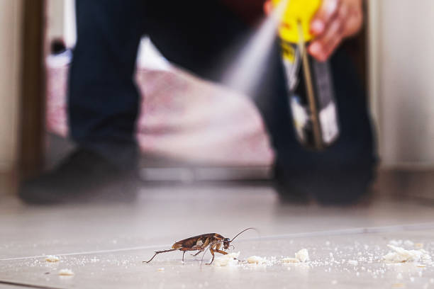 Best Pest Inspection Near Me  in Fruitport, MI